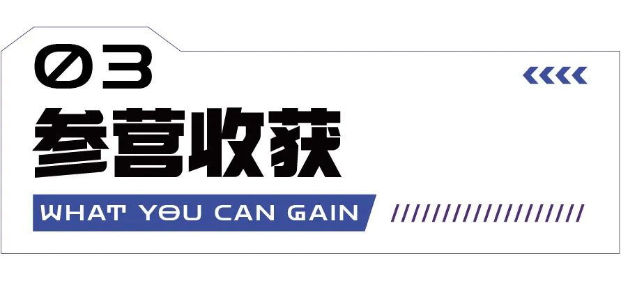 12.webp