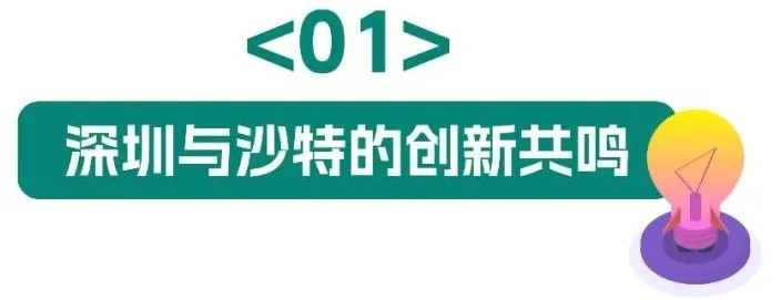 6.webp