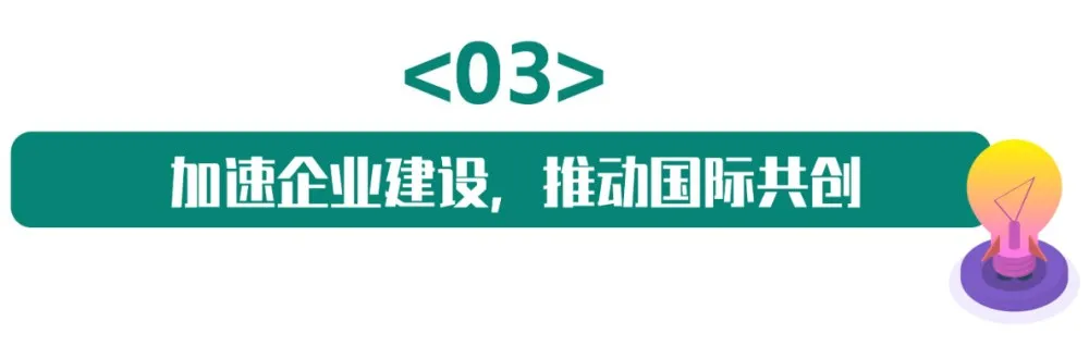 8.webp