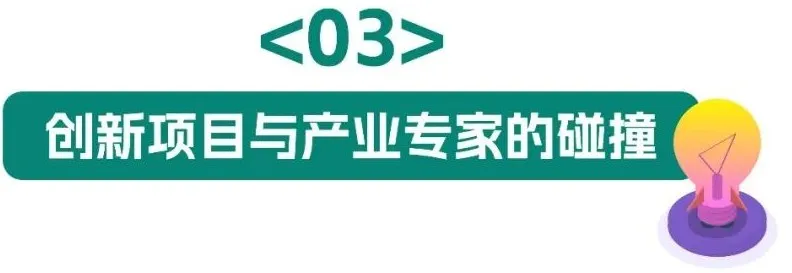 12.webp